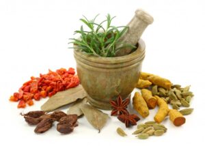 Sehat Tak Harus Mahal Melalui Tanaman Obat Herbal