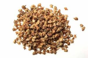 TRIBULUS KAYA SENYAWA AKTIF