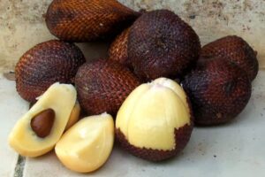 Salak Wedi Asli Bojonegoro