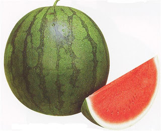 Mengenal berbagai jenis semangka 6