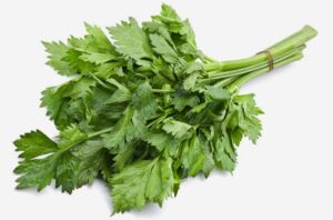 Rambut Cantik dengan  Daun Seledri