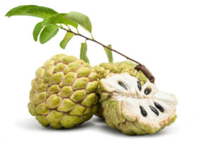 Manfaat Lengkap Buah Srikaya