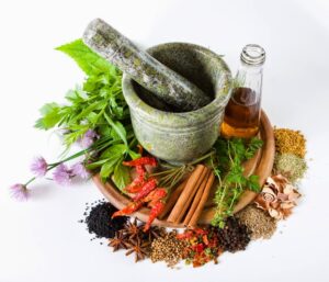 Tanaman Obat dan Khasiatnya yang Luar Biasa